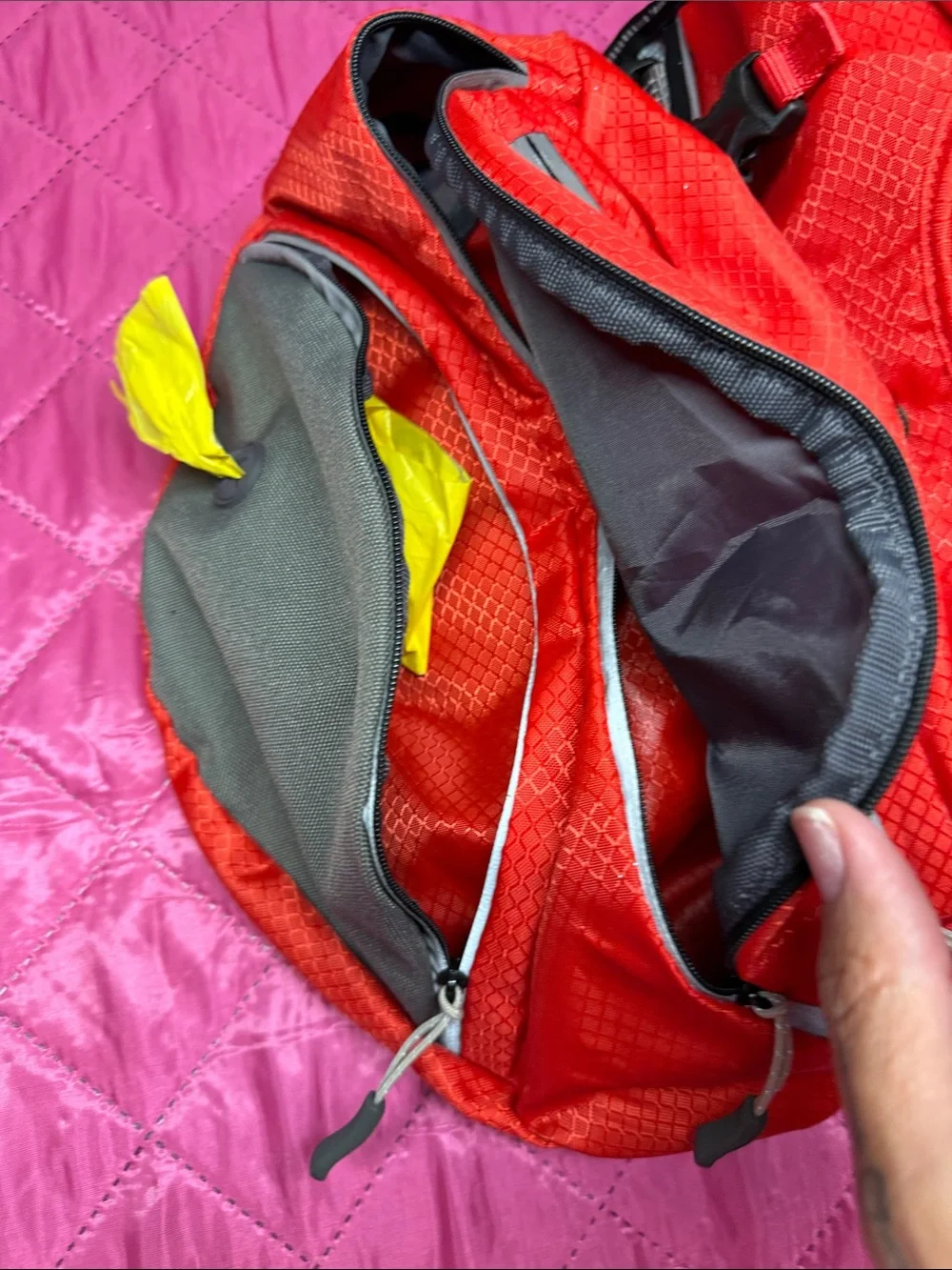Dog Arcadia Lightweight trail Pack